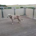 pare-vent terrasse